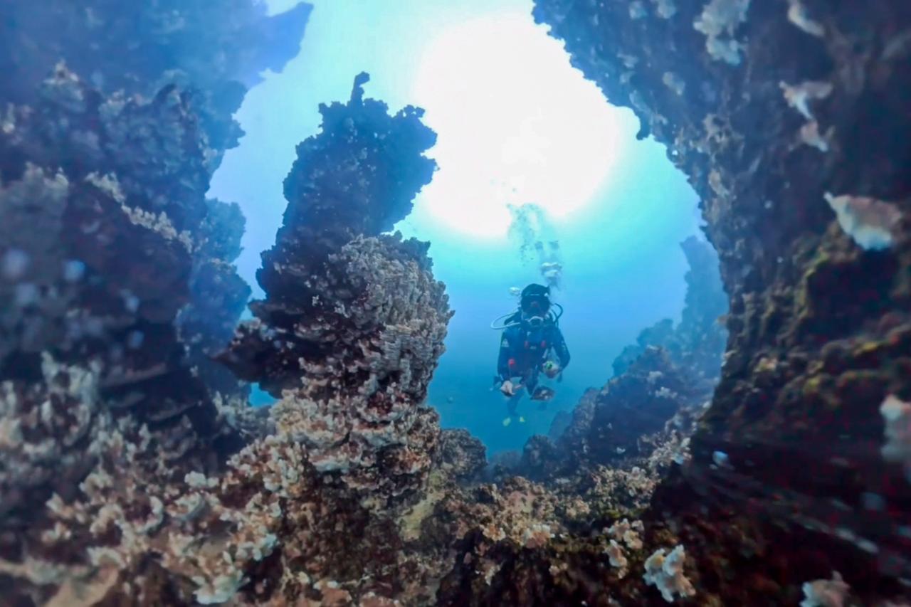 Lake Van dives probe alien-like microbes ahead of future Mars sample comparisons