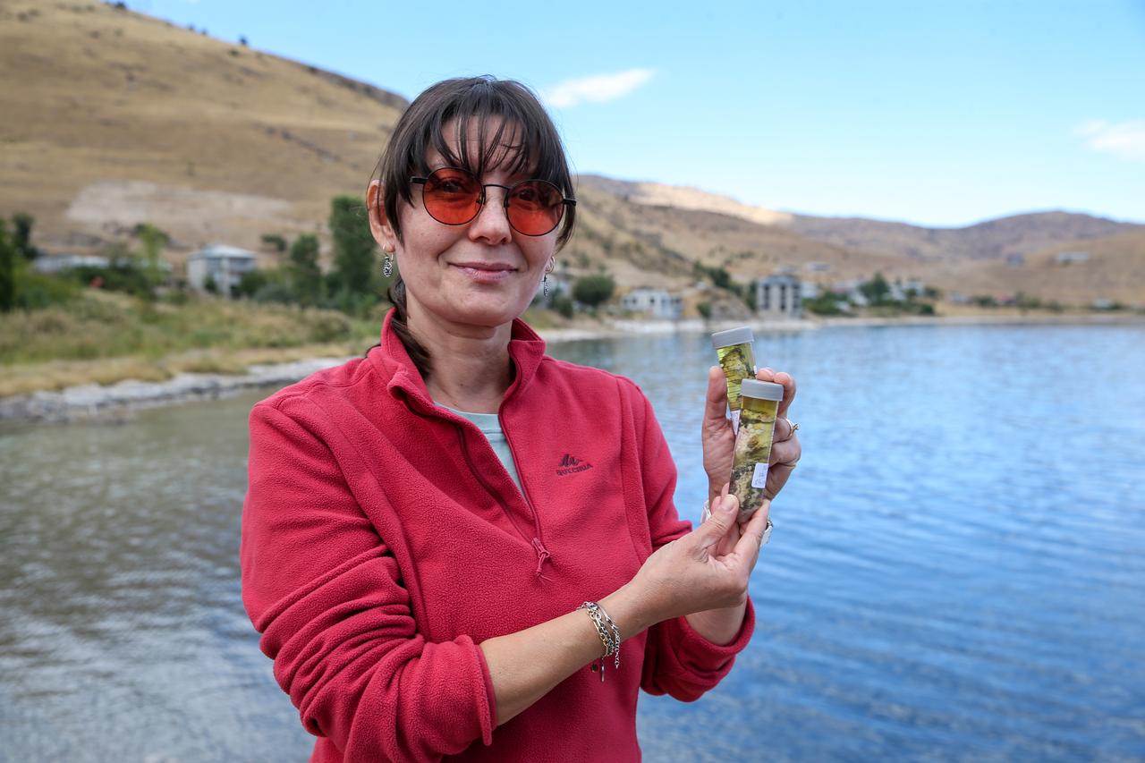 Assoc. Prof. Ezher Tagliasacchi displays microbialite samples collected from Lake Van as part of an international study into carbonate nanospheres and their formation processes. (AA Photo)