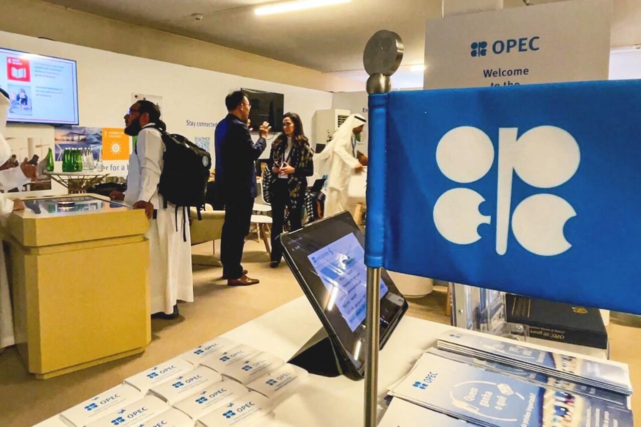 OPEC+ pushes capacity review to mid-November as Iran war stalls expansion: Report