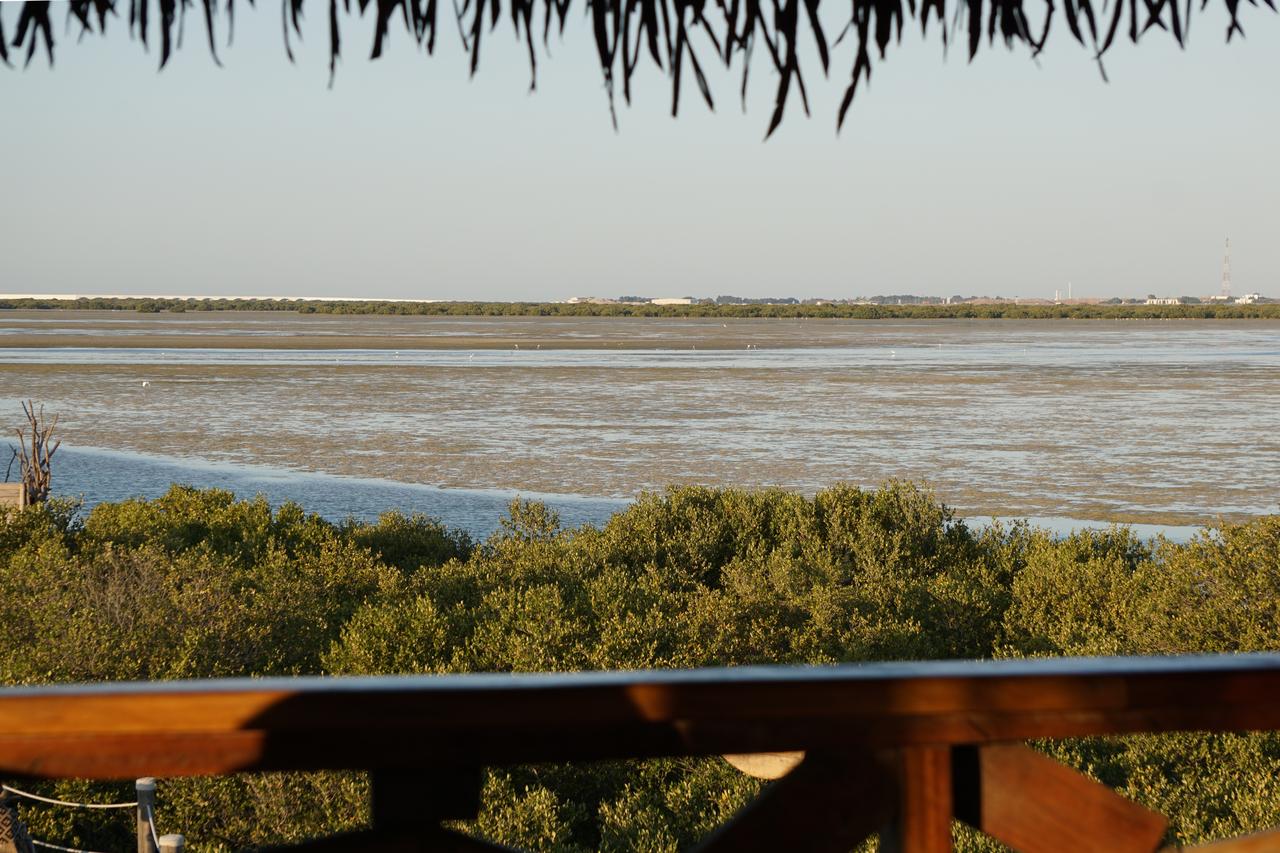 A view of the mangrove-lined waterfront at Mangrove Beach in Umm Al Quwain, United Arab Emirates. (Adobe Stock Photo)