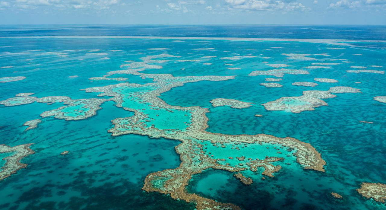 An aerial view shows extensive coral reef formations surrounded by turquoise ocean waters. (Adobe Stock Photo)