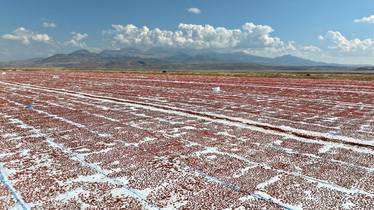 White sheets, red tomatoes: Türkiye’s seasonal workers keep the dry harvest going