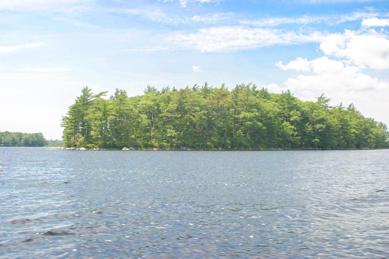 A general view shows the forested island on Back Lake that Matthias Ross won in a Haribo contest and later listed for sale for 348,000 Canadian dollars, in Nova Scotia, Canada. (Photo via Gazete Oksijen)