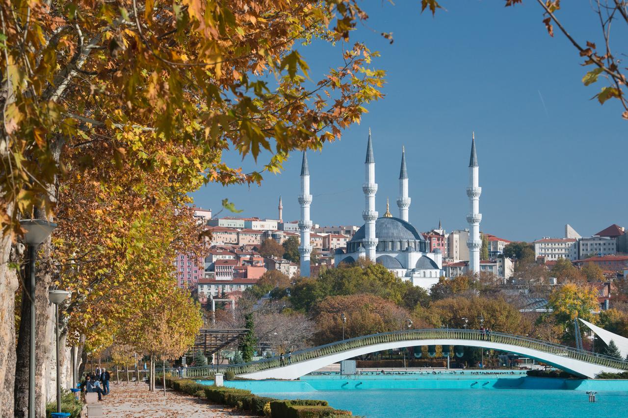 Turkish youth rank 3rd-lowest in Europe for household income: Report