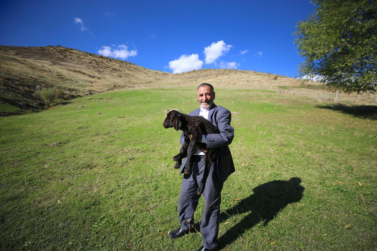 An elderly shepherd lifts a black lamb into the air in a grassy field in Türkiye, Oct. 26, 2026. (AA Photo)
