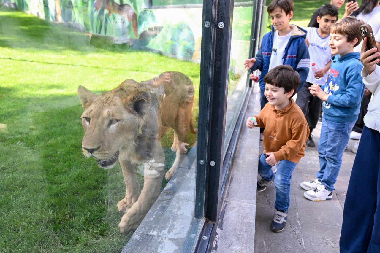 Gaziantep Wildlife Park opens new Predator Island