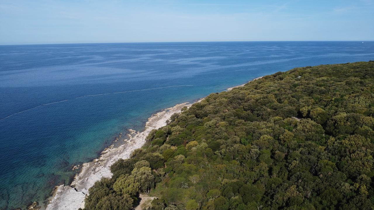 An aerial view shows a forested coastline along the Mediterranean Sea. (Adobe Stock Photo)