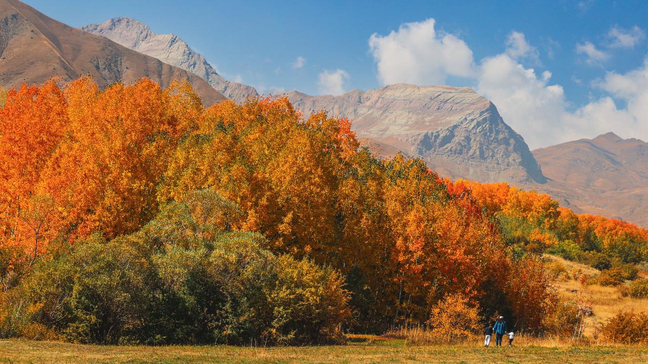 Autumn paints Türkiye in gold and crimson across 14 provinces