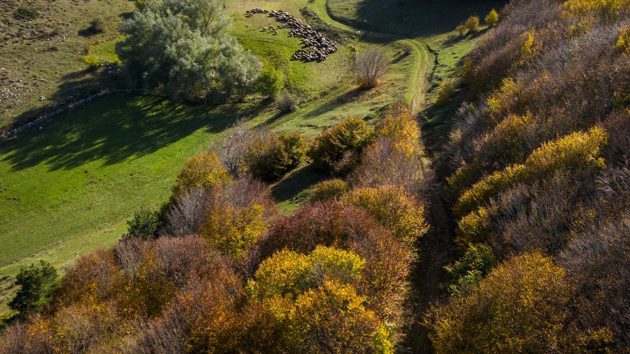 Anadolu Agency