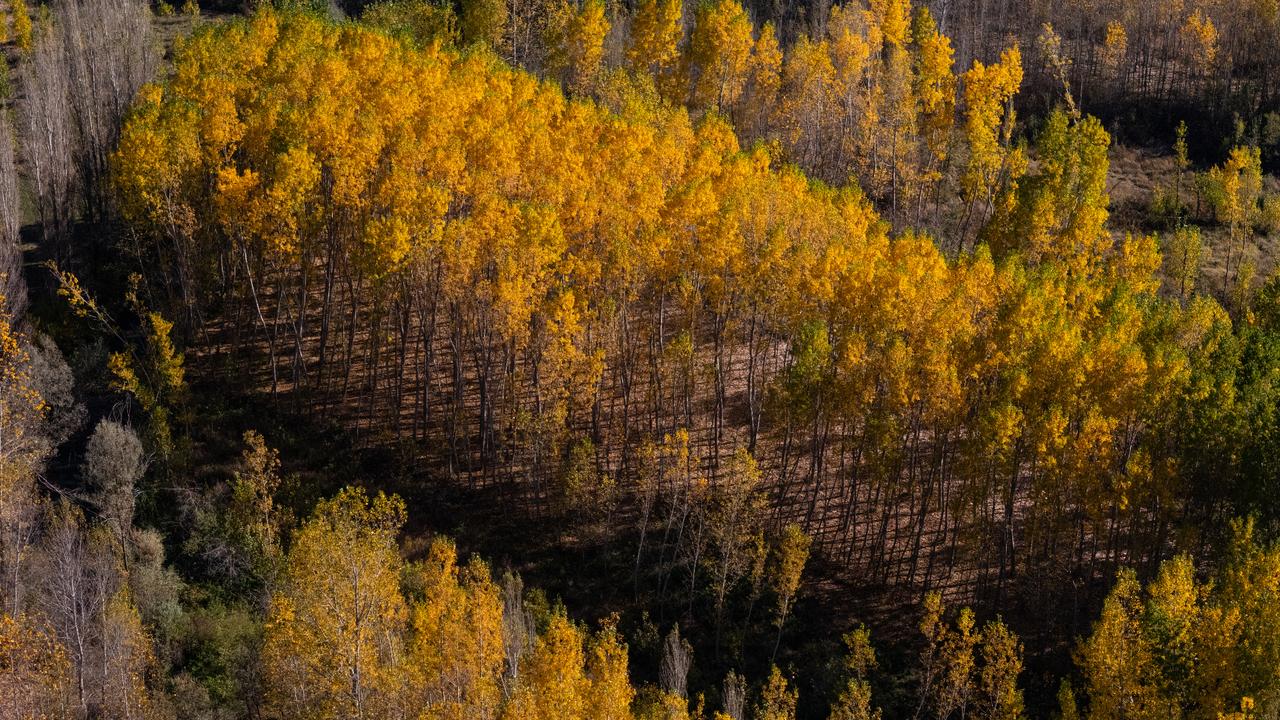 Anadolu Agency