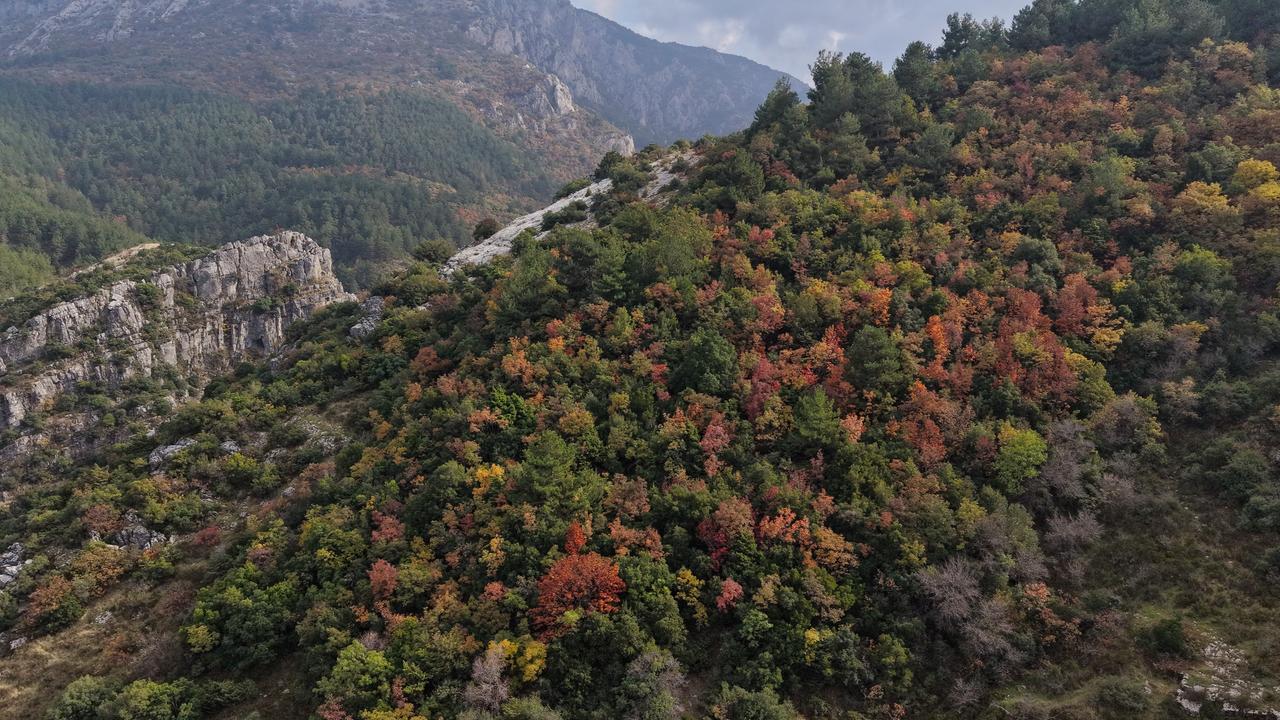 Anadolu Agency