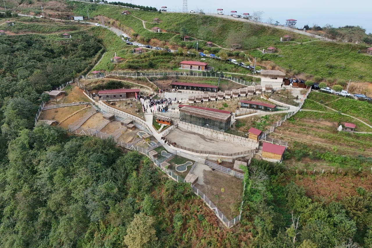 Hobby zoo with more than 750 animals opens in Rize’s Isirlik Nature Park
