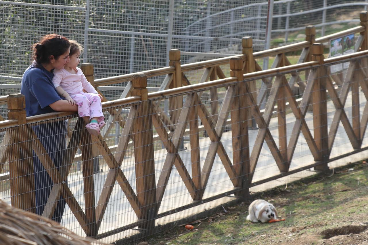 A mother and child observe animals at the newly opened Hobby Zoo in Rize’s Isirlik Nature Park. (AA Photo)