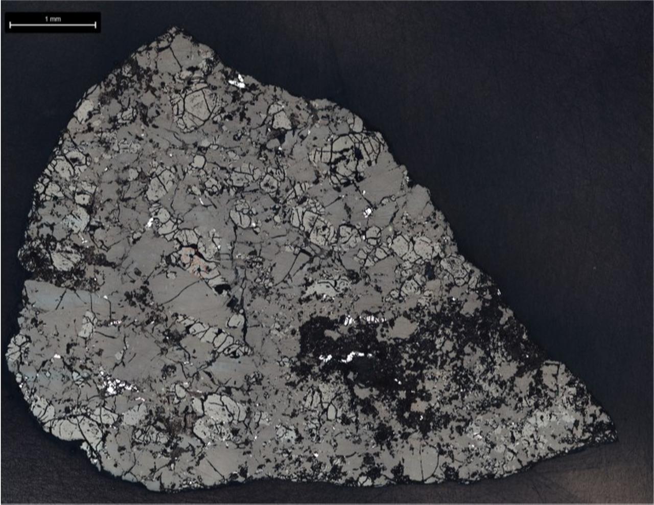 This slice of Teghaza 001, a Martian meteorite, was used to study its mineralogy and chemistry. (Photo via NASA/JPL-Caltech)