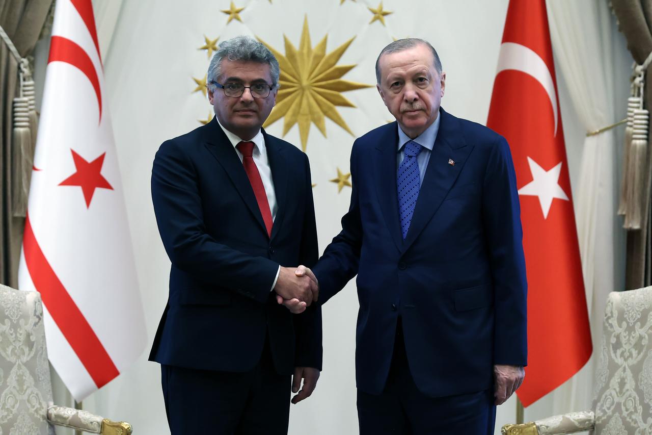 No lasting Cyprus solution without protecting Turkish Cypriots' rights: Erdogan