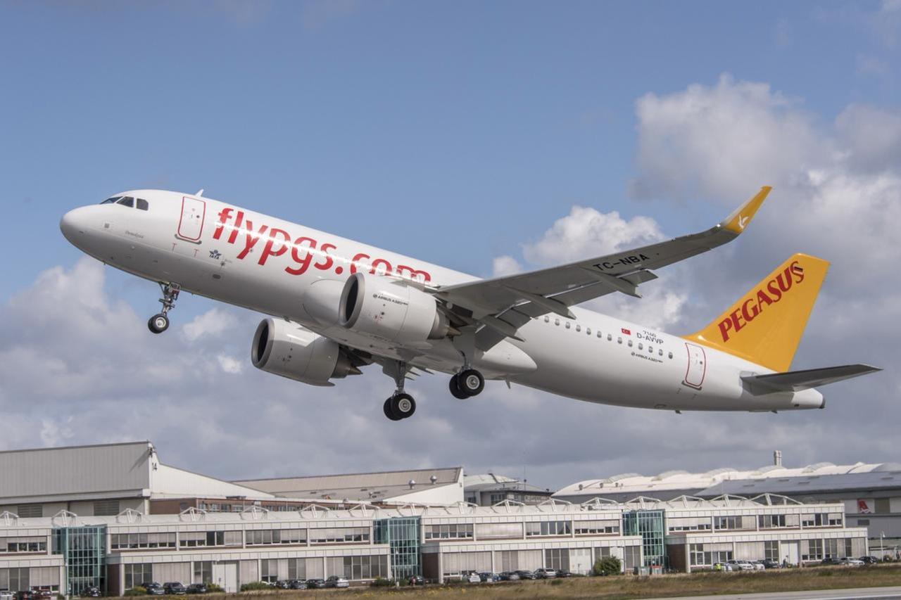 Pegasus flight to Copenhagen returns to Istanbul after bird strike