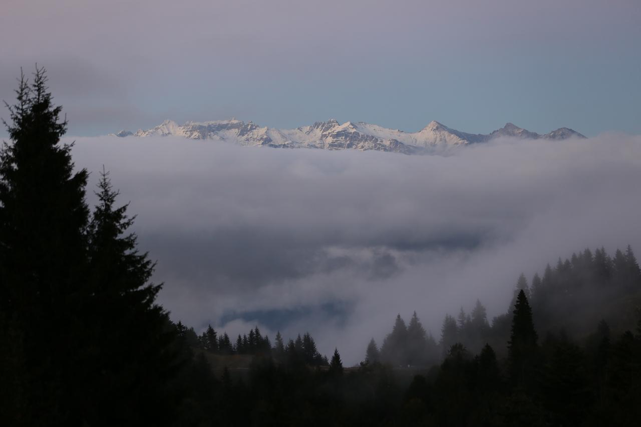 Snow-covered mountain peaks rise above a layer of fog in Artvin, Türkiye, Oct. 5, 2026. (AA Photo)