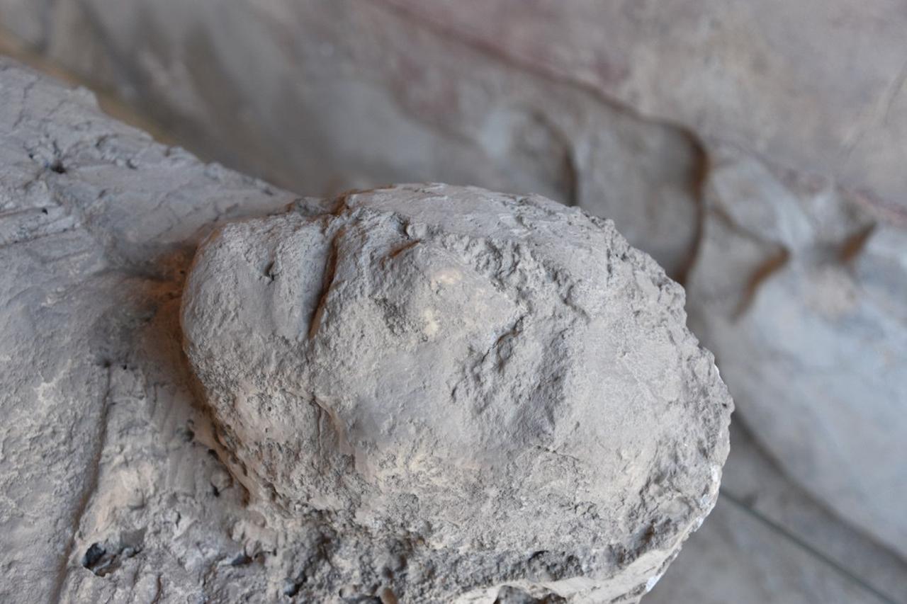 A close-up view of a Pompeii victim cast, created by filling the void left in hardened volcanic ash after the body decomposed. (Photo via The Archaeological Park of Pompeii)