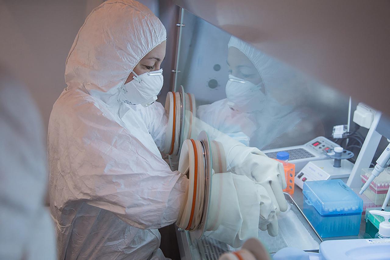 In this undated handout picture released by the Irkutsk Antiplague Research Institute, a specialist works in a laboratory as part of anti-epidemic measures during the 2019 Winter Universiade in Krasnoyarsk. (Photo by Handout / Irkutsk Antiplague Research Institute / AFP)