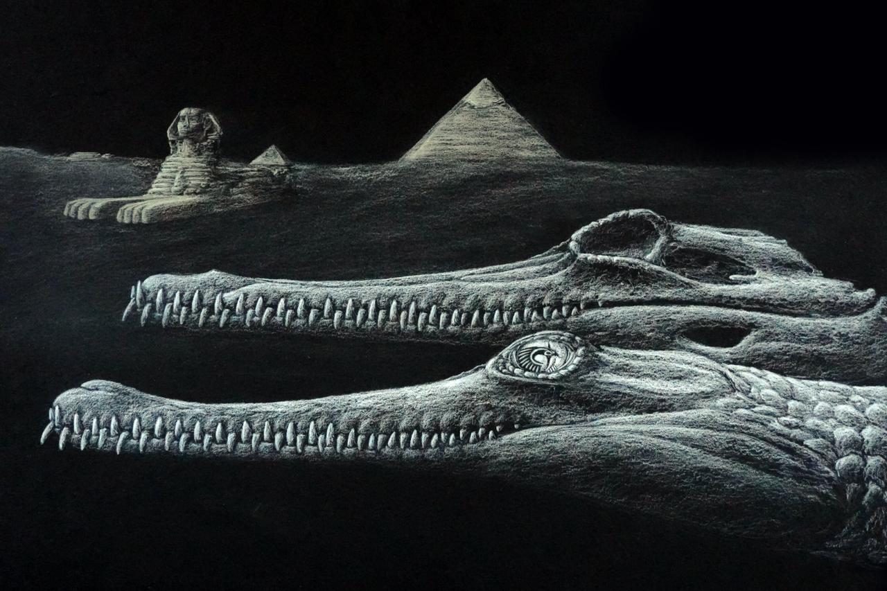 45-million-year-old crocodile discovered in same rock used to build Egypt's Great Sphinx