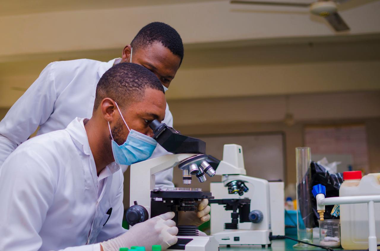 Laboratory researchers examine samples under a microscope. (Adobe Stock Photo)