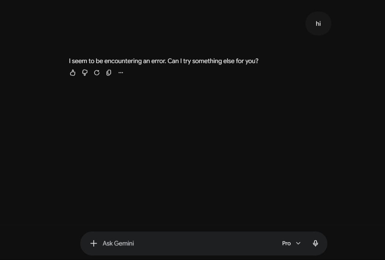 A social media users shared a screenshot from the problem he faced on Gemini.