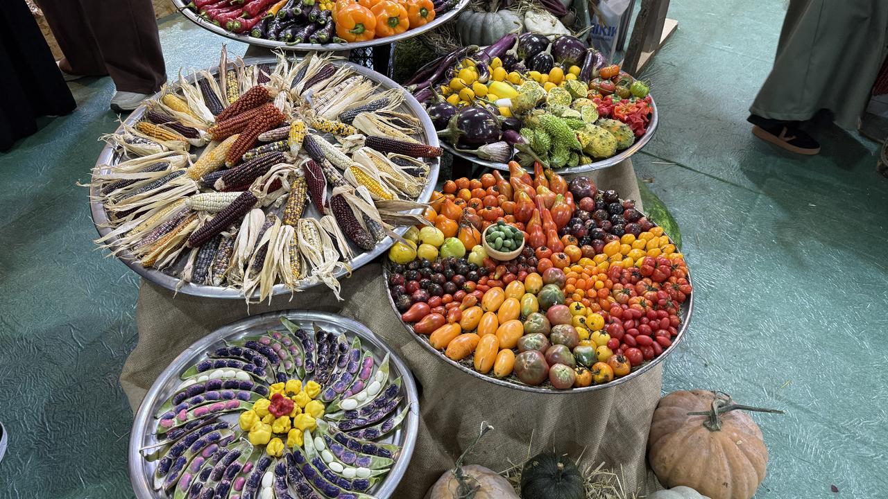 Türkiye's Rize sets one long table for recipes hidden in its districts