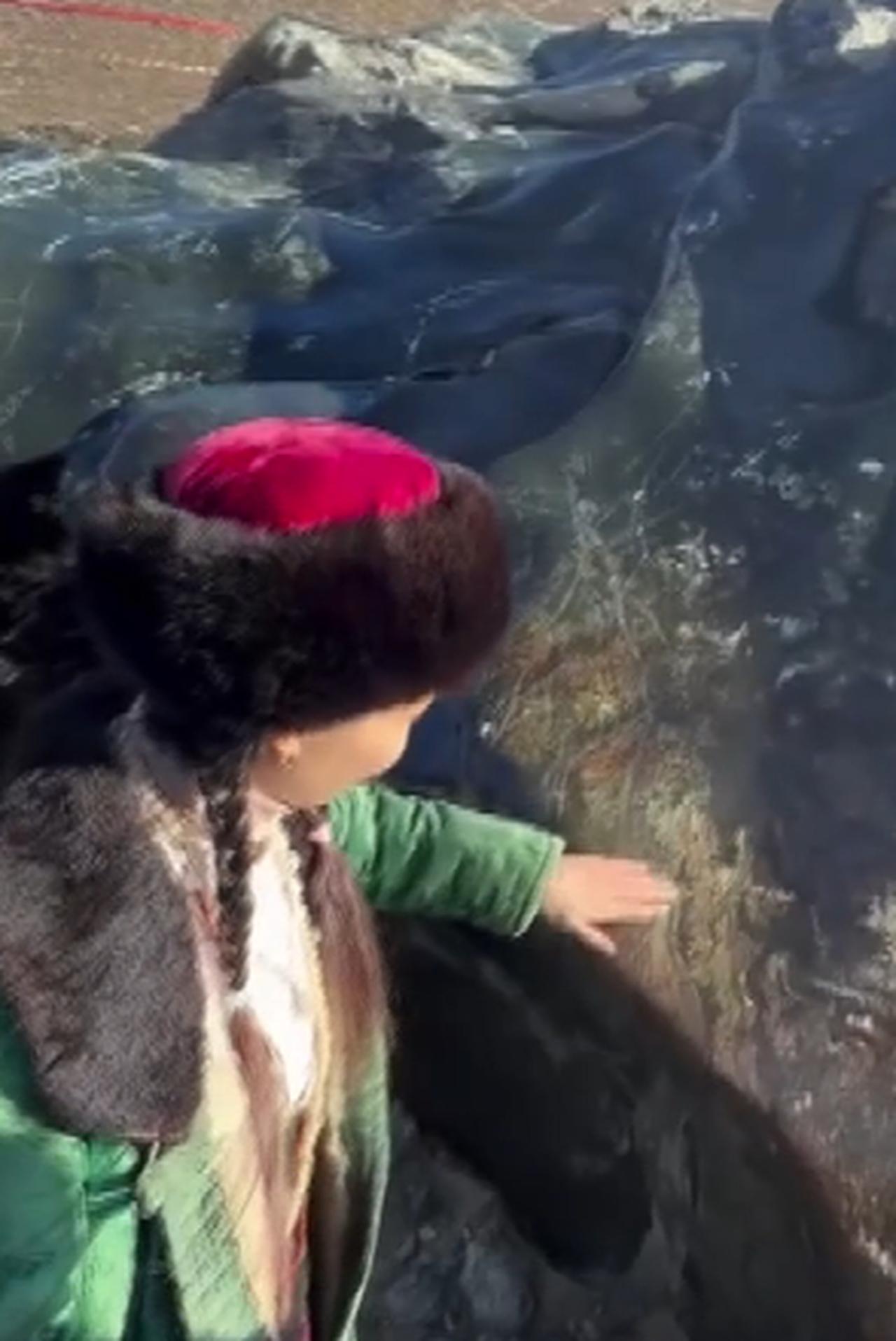 Kyrgyzstan’s 180-ton green stone rekindles ancient Turkic, Hittite mysteries