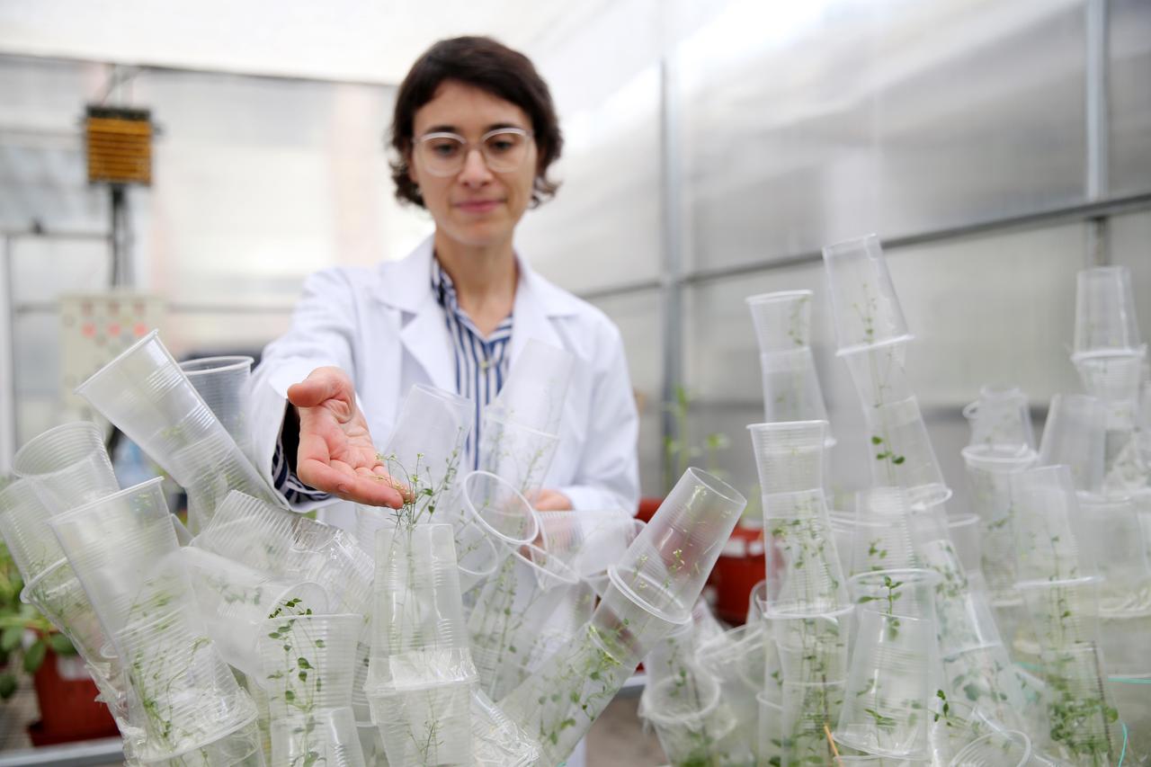 Seeds in space: Turkish scientist explores future of farming beyond earth