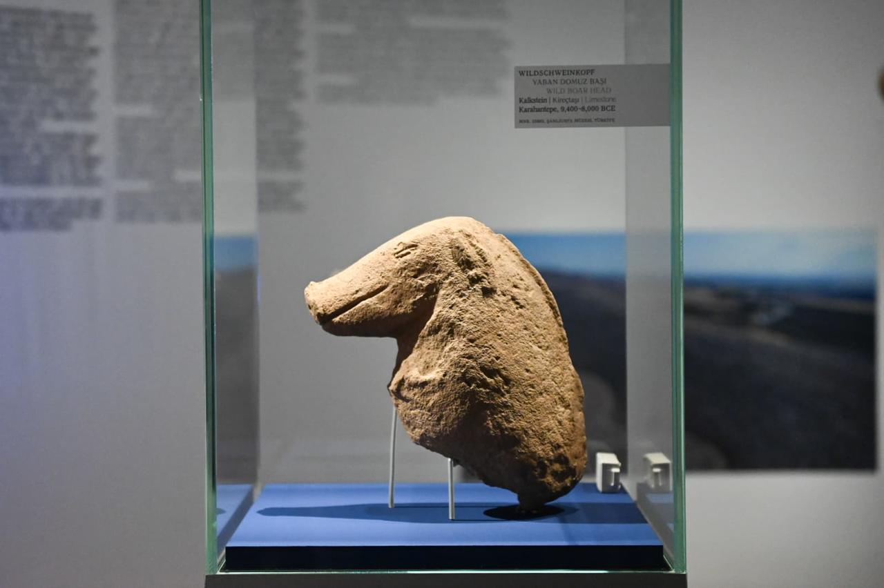 A carved wild boar head from Karahantepe is displayed in a glass case at the Berlin exhibition, Germany, Feb. 10, 2026. (Photo via Türkiye’s Culture and Tourism Ministry)