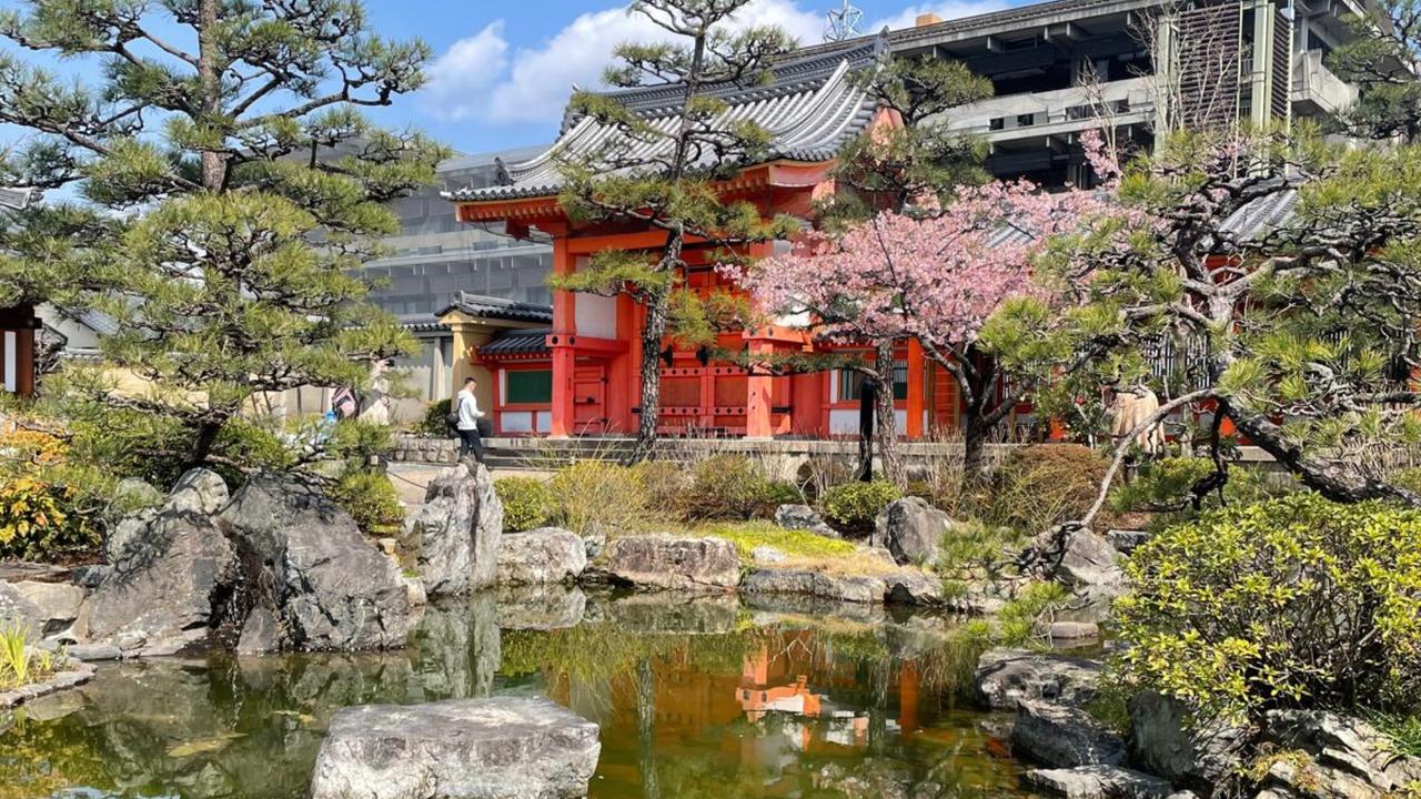 Koray Erdogan/Türkiye Today