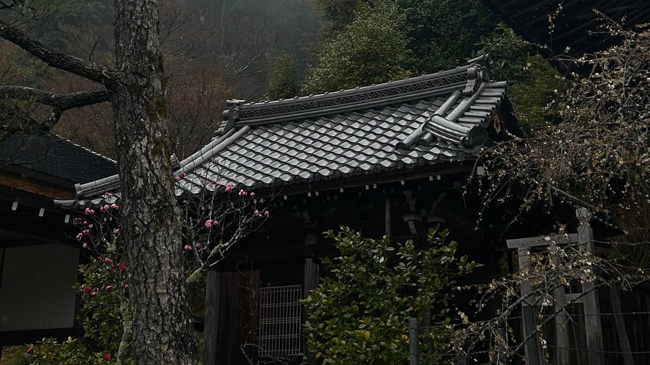 Koray Erdogan/Türkiye Today