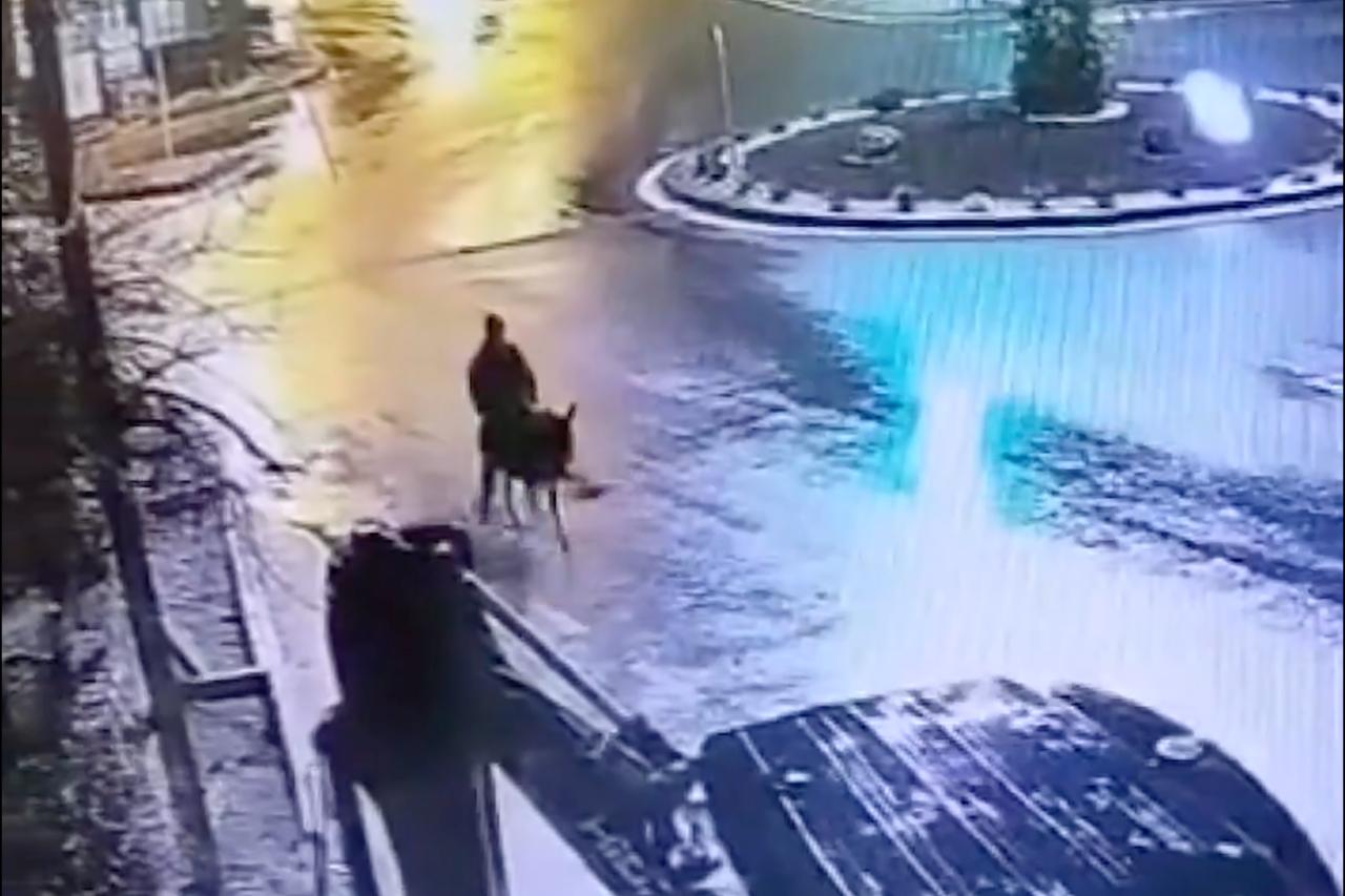 Gold thief flees jewelery shop on donkey after forklift raid in Türkiye
