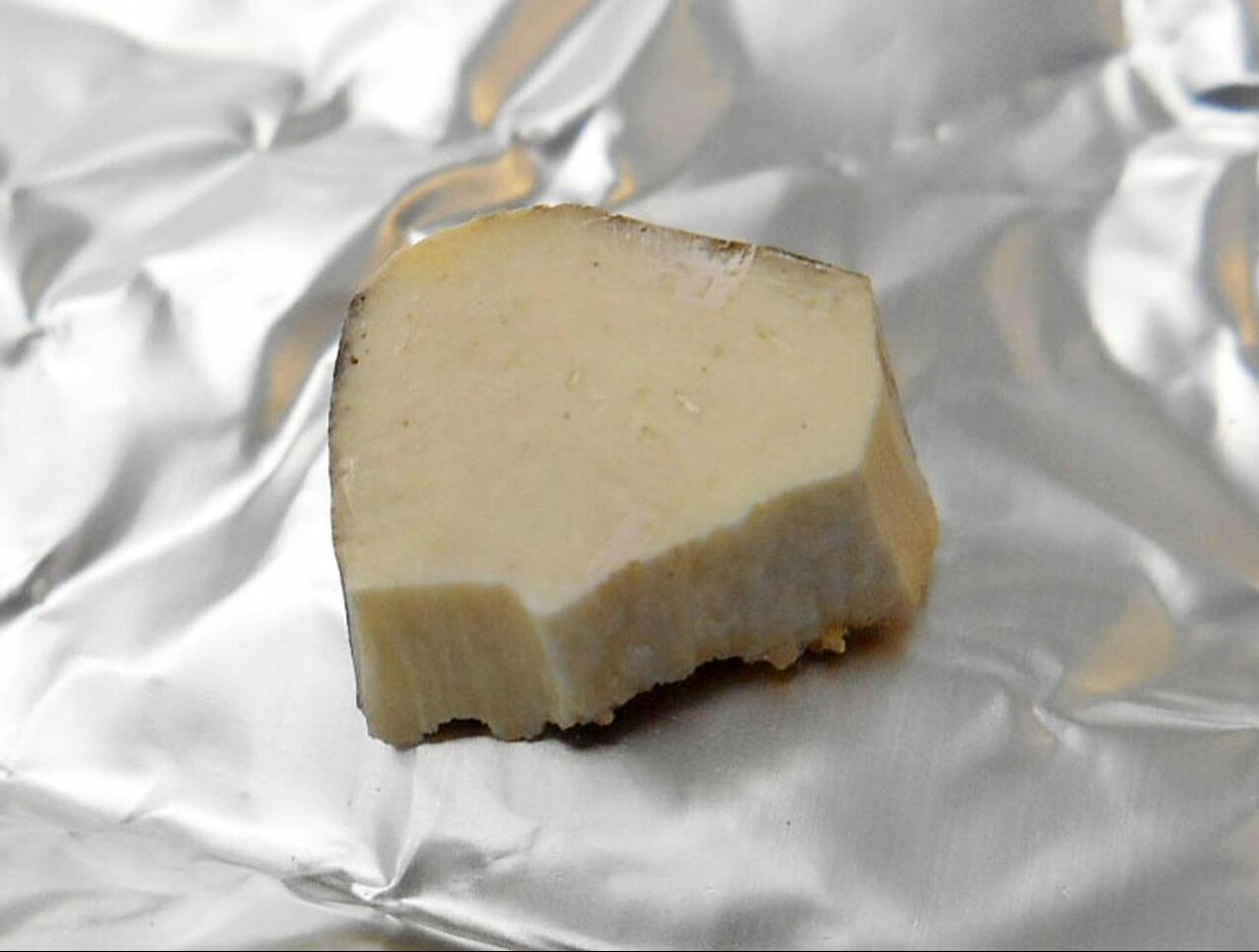 Supplied photo shows a fossil bone of a cave lion excavated in Mine, Yamaguchi Prefecture, from which DNA and other samples were extracted for analysis confirming the presence of lions in prehistoric Japan. (Photo via Graduate University for Advanced Studies and partner institutions/Kyodo)