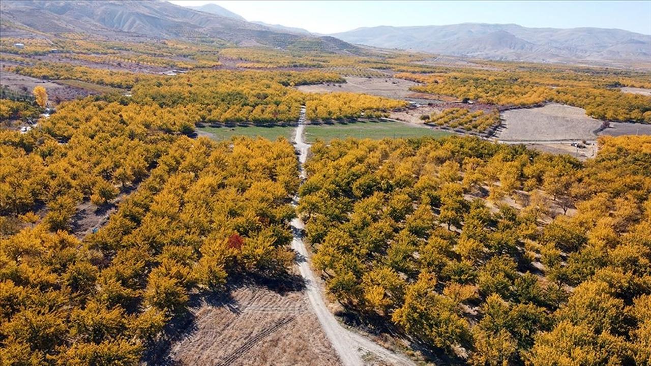 Aerial view shows agricultural land and forest areas in Malatya, southern Türkiye. (AA Photo)