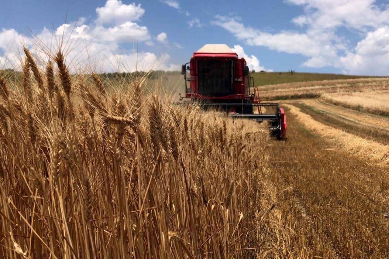 Türkiye's agriculture exports edge up to $27.79 billion in 2025