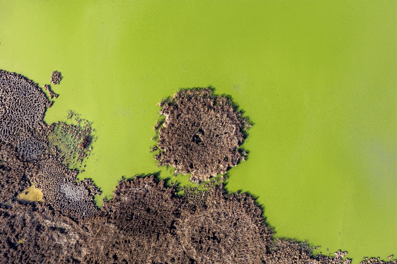 An aerial view of Nallihan Bird Paradise, one of the important wetlands, as the water level has dropped due to drought in Ankara, Türkiye, Feb. 1, 2026. (AA Photo)