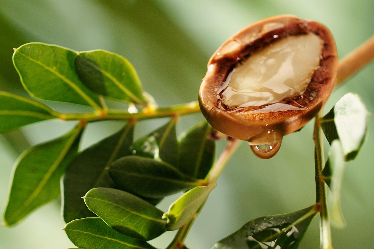 Why argan oil dominates skin and hair care routines worldwide