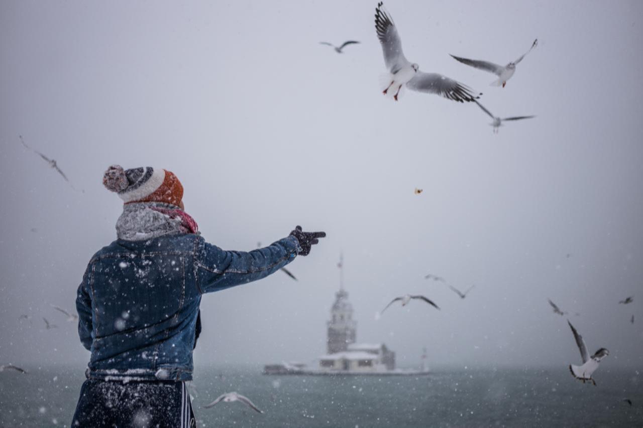 An individual throws food to seagulls during a snowfall near the Bosphorus in Istanbul, Türkiye, January 12, 2025. (Adobe Stock Photo)