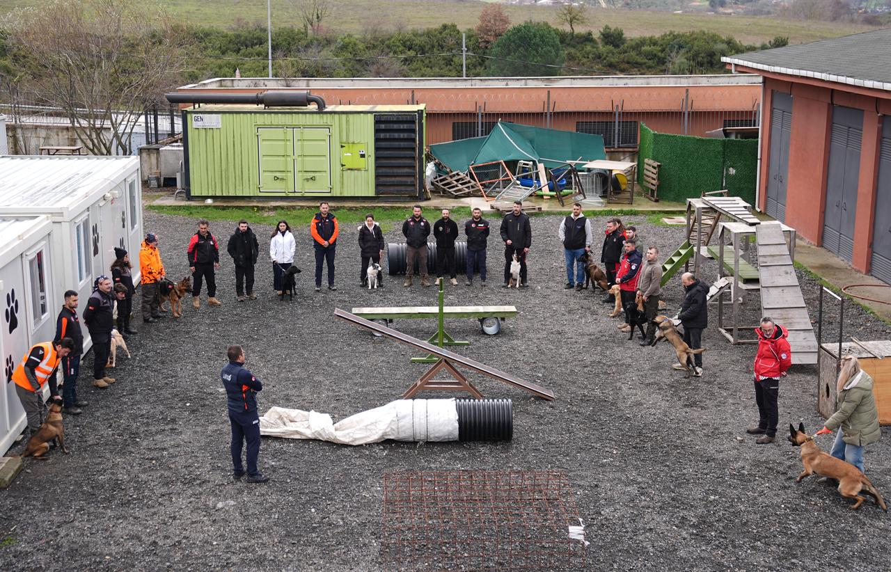 Nineteen dogs receive search and rescue training from Türkiye’s Disaster and Emergency Management Authority (AFAD) Istanbul Unit Directorate staff and trainers from 6 district municipalities, as part of a project initiated by the Istanbul Governorship  in Istanbul, Türkiye, on February 07, 2026. (AA Photo)