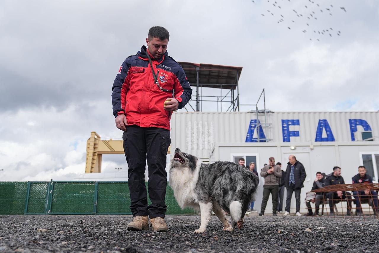Nineteen dogs receive search and rescue training from Türkiye’s Disaster and Emergency Management Authority (AFAD) Istanbul Unit Directorate staff and trainers from 6 district municipalities, as part of a project initiated by the Istanbul Governorship  in Istanbul, Türkiye, on February 07, 2026. (AA Photo)
