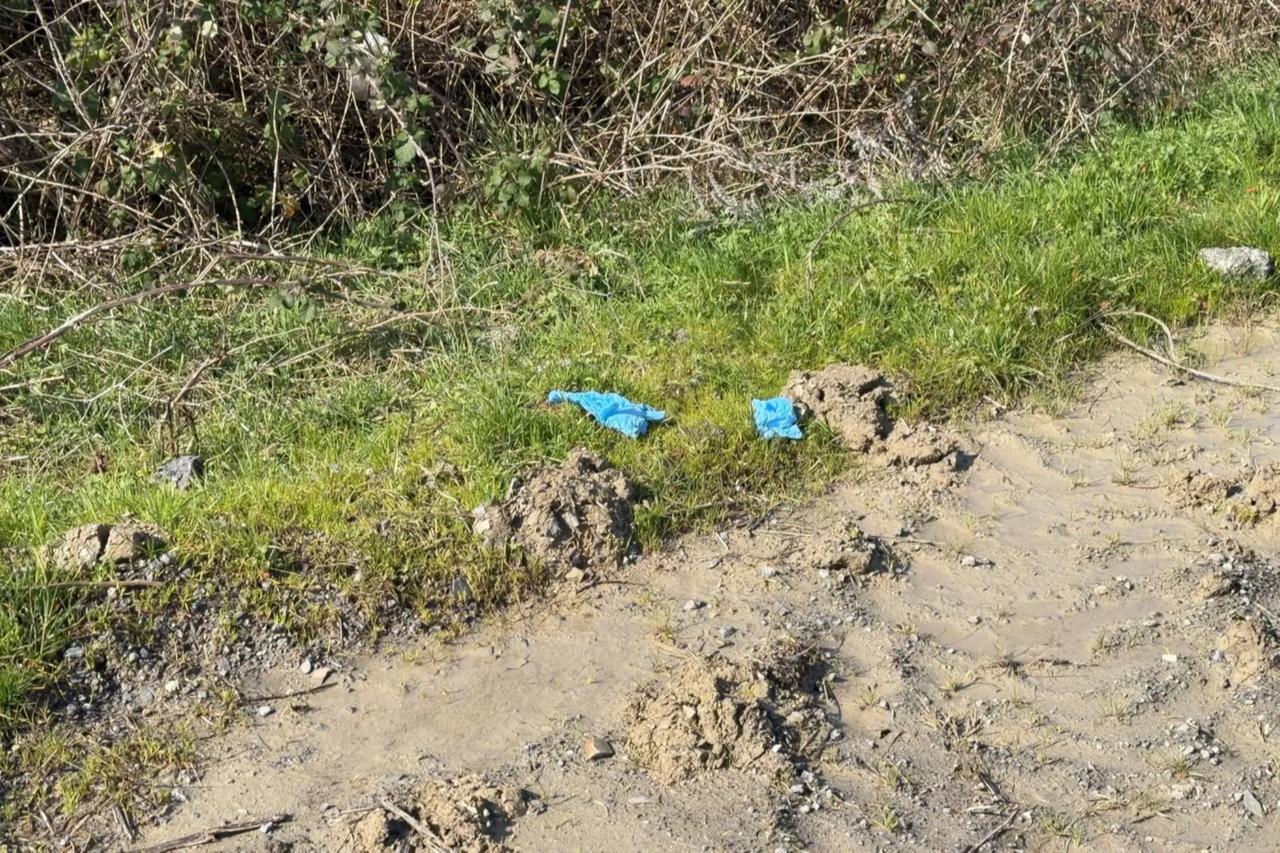 Missing Chinese businessman found buried in Istanbul, suspects caught in China