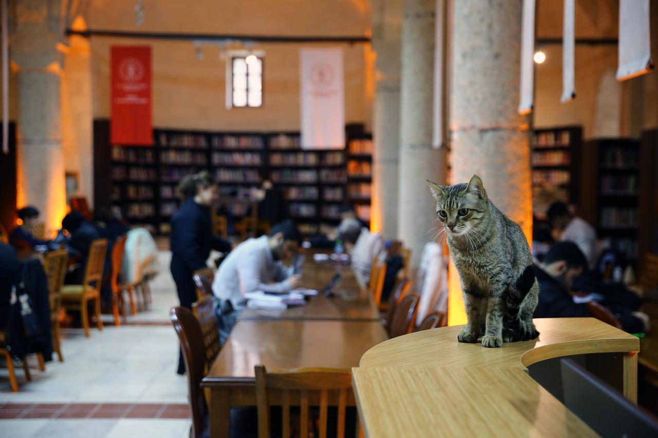 Adana Provincial Public Library in Adana, Turkiye, Feb 17, 2026.  (AA Photo)