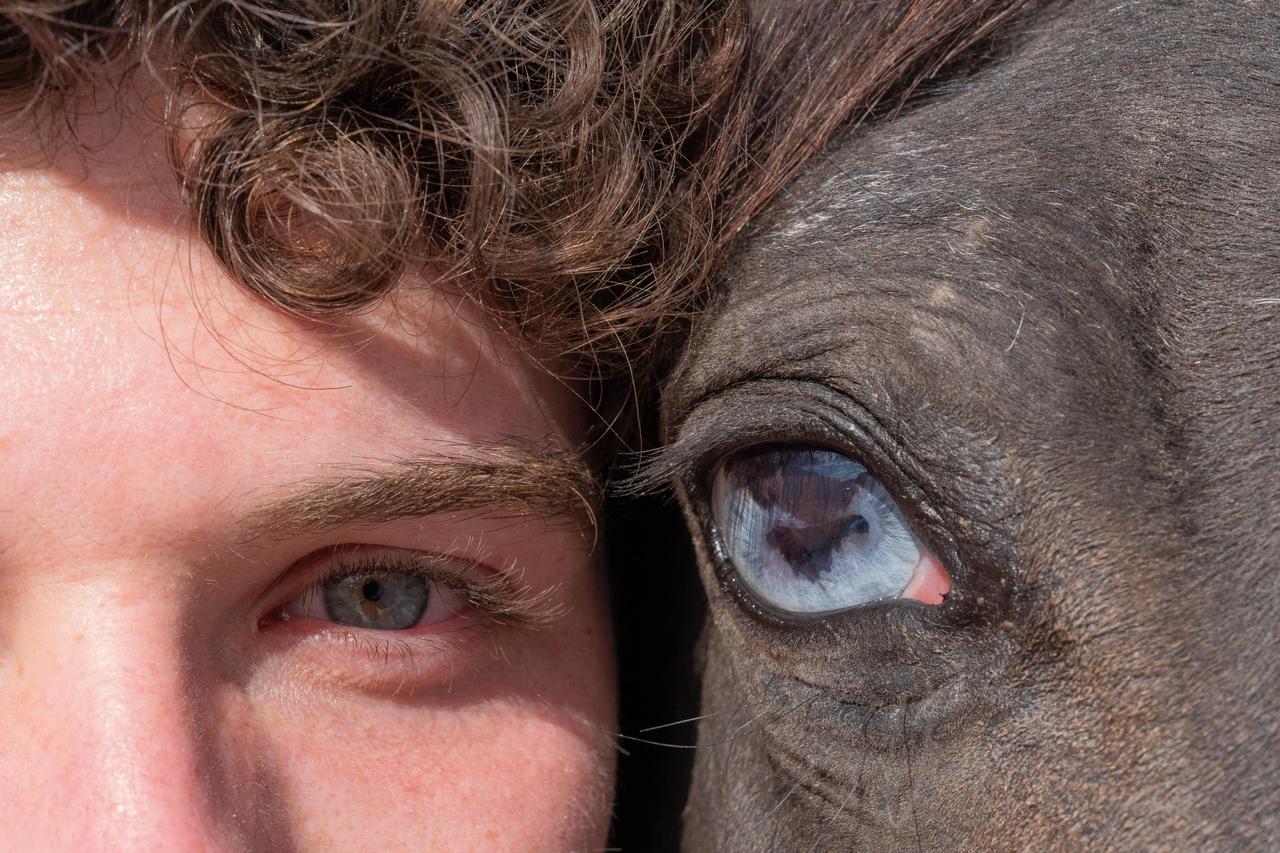 A close-up image captures the eye of a horse alongside a human eye, symbolizing the enduring bond between people and horses in Cappadocia, Türkiye. (AA Photo)