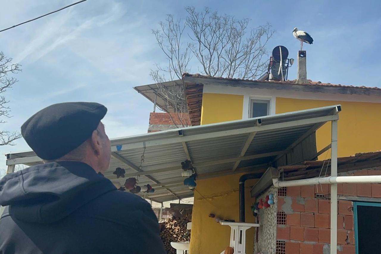 Stork Yaren’s mate arrives early as Turkish fisherman awaits 15th reunion