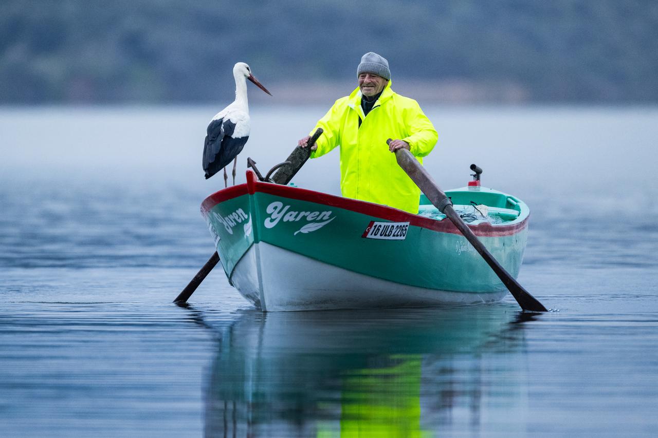 Türkiye’s beloved stork Yaren comes back for 15th time to fisherman’s boat