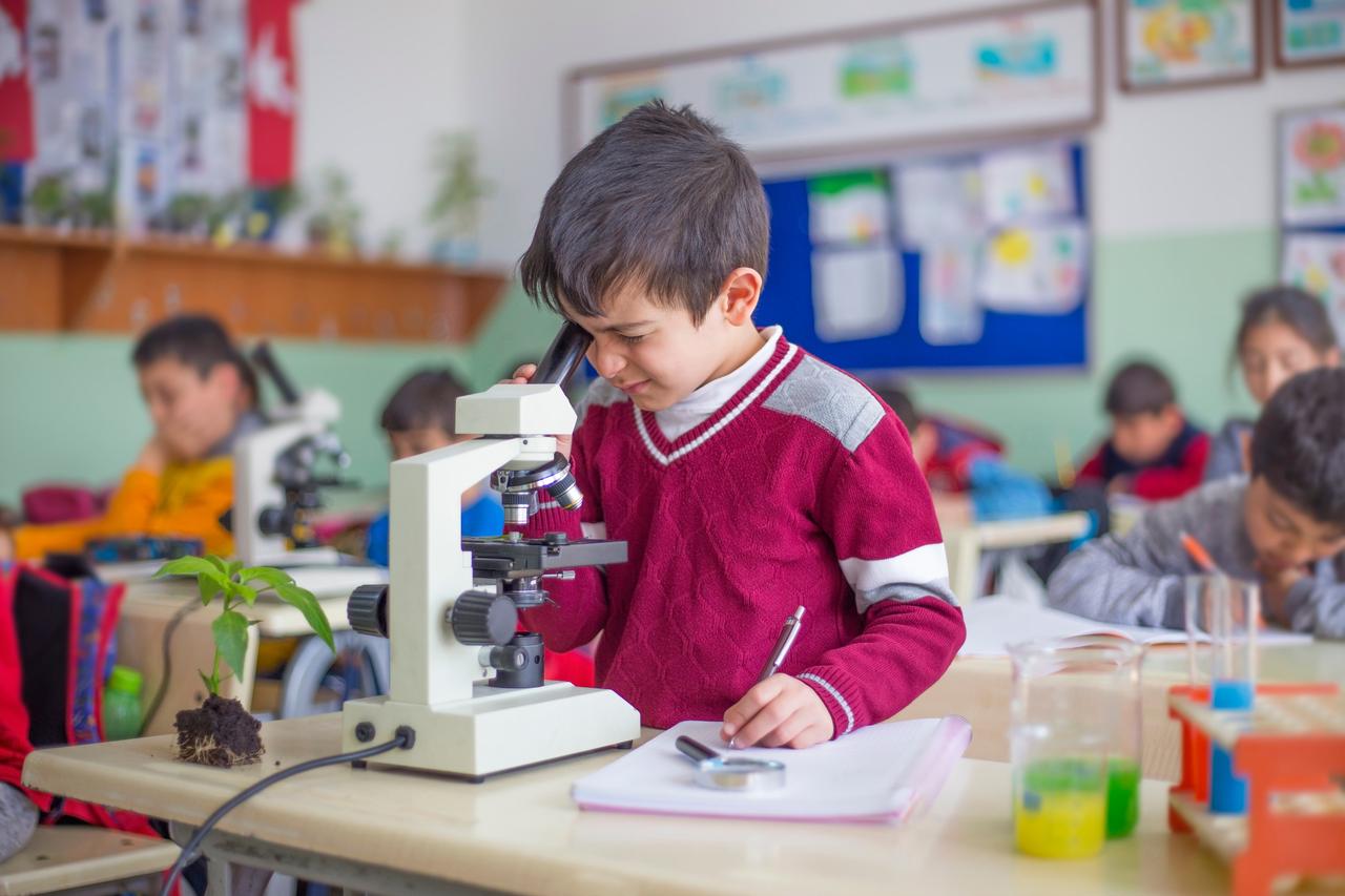 Private schools in Türkiye face enrollment drop