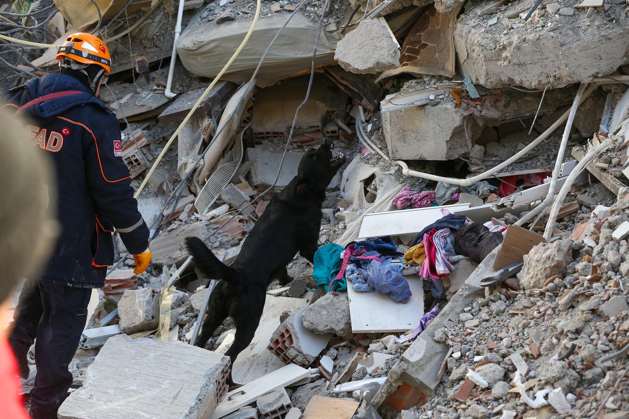 Türkiye fraud case uncovers misuse of earthquake victims’ academic records