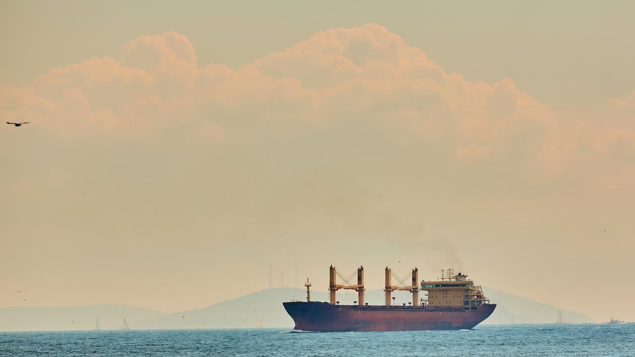 Large cargo ship sails through the Bosphorus Strait off the coast of Istanbul, Türkiye. (Adobe Stock Photo)