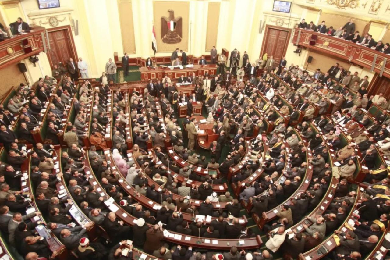 Posthumous skin donation proposal stirs religious debate in Egypt